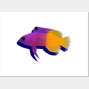 COLORFUL CORAL REEF FISH Posters and Art